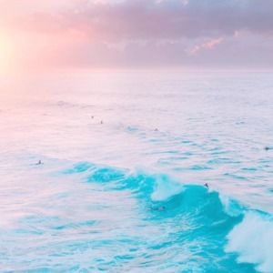 Meet your Posher, Kerri